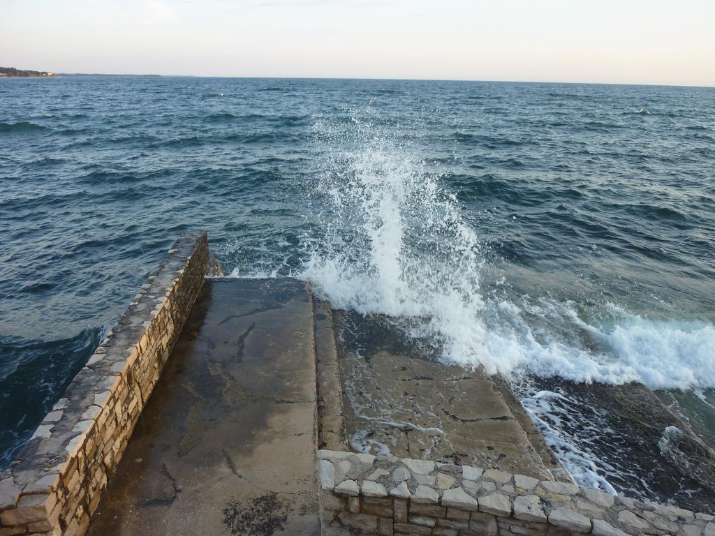 Studios Slavica Novigrad Istria Oda fotoğraf